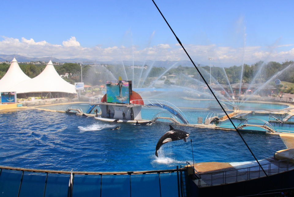 Marineland à Antibes