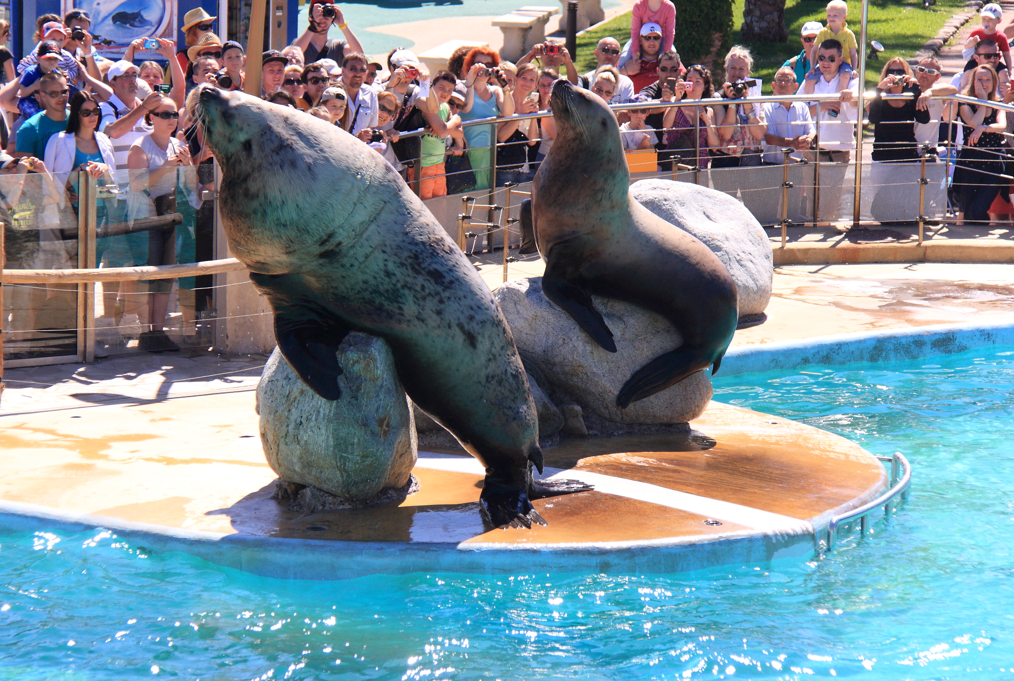 Marineland à Antibes