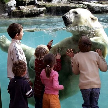 Marineland
